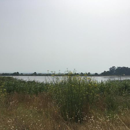 Moradia Proxima Da Praia Do Areinho, Na Ria, E Praia Dos Marretas Ovar Eksteriør bilde